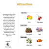 attraction notes